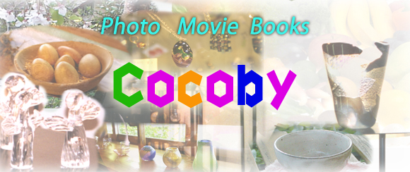 cocobytop
